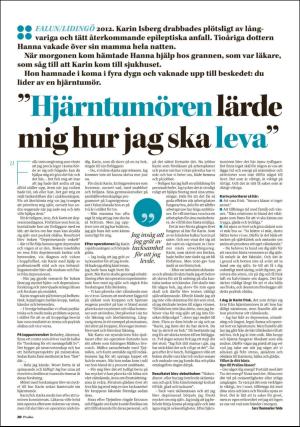 falukuriren_pralin-20180428_000_00_00_020.pdf