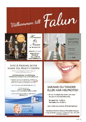 falukuriren_pralin-20210227_000_00_00_009.pdf
