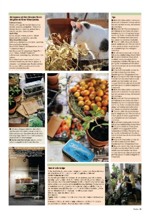 falukuriren_pralin-20210320_000_00_00_021.pdf