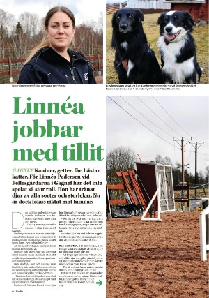 falukuriren_pralin-20210417_000_00_00_004.pdf