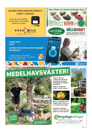 falukuriren_pralin-20210619_000_00_00_003.pdf