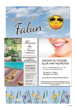 falukuriren_pralin-20210619_000_00_00_025.pdf