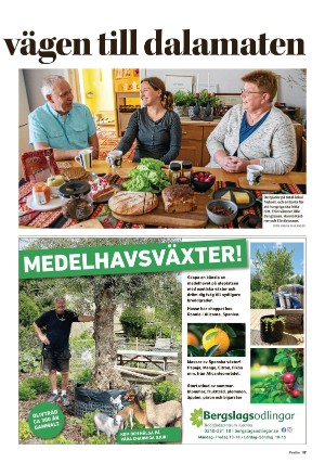 falukuriren_pralin-20210703_000_00_00_017.pdf
