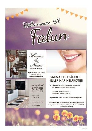 falukuriren_pralin-20210828_000_00_00_021.pdf