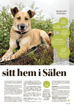 falukuriren_pralin-20210904_000_00_00_019.pdf