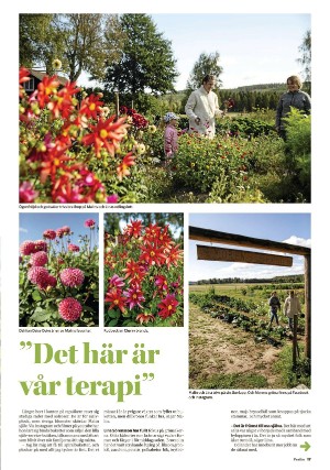 falukuriren_pralin-20210918_000_00_00_017.pdf