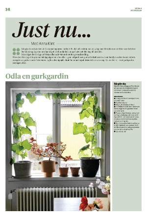 falukuriren_pralin-20220129_000_00_00_014.pdf
