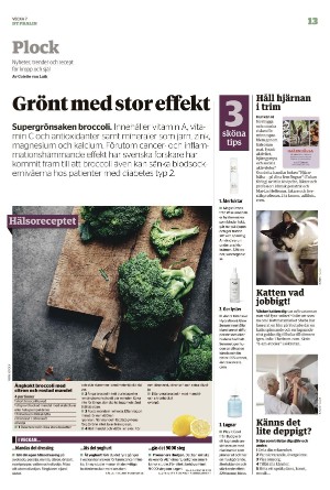 falukuriren_pralin-20220219_000_00_00_013.pdf