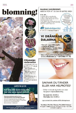falukuriren_pralin-20220409_000_00_00_023.pdf