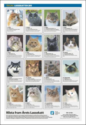 falukuriren_seksjon-20111202_000_00_00_016.pdf