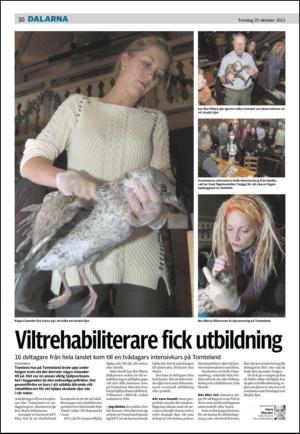 falukuriren_seksjon-20121025_000_00_00_010.pdf