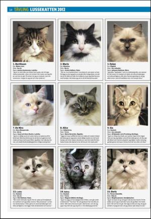 falukuriren_seksjon-20121201_000_00_00_014.pdf