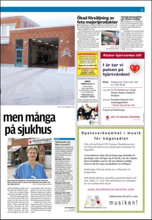 falukuriren_seksjon-20130209_000_00_00_009.pdf