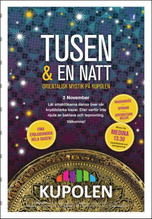 falukuriren_seksjon-20131101_000_00_00_015.pdf