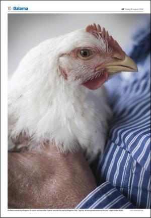 falukuriren_seksjon-20140826_000_00_00_010.pdf