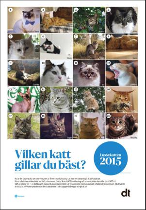 falukuriren_seksjon-20151204_000_00_00_013.pdf