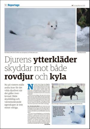 falukuriren_seksjon-20160128_000_00_00_014.pdf