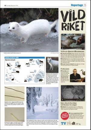 falukuriren_seksjon-20160128_000_00_00_015.pdf