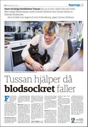 falukuriren_seksjon-20160222_000_00_00_013.pdf