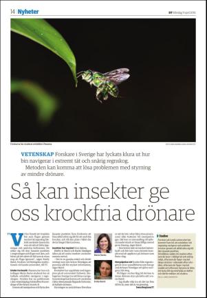 falukuriren_seksjon-20160411_000_00_00_014.pdf