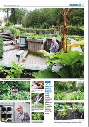 falukuriren_seksjon-20160901_000_00_00_013.pdf