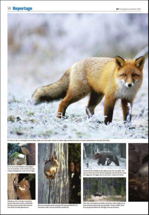 falukuriren_seksjon-20161116_000_00_00_014.pdf