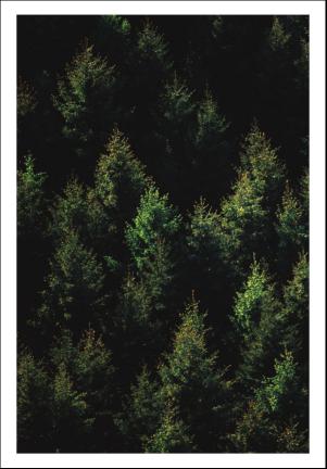 falukuriren_seksjon-20170329_000_00_00_014.pdf