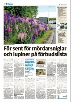 falukuriren_seksjon-20170704_000_00_00_014.pdf