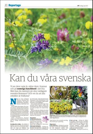 falukuriren_seksjon-20170707_000_00_00_020.pdf