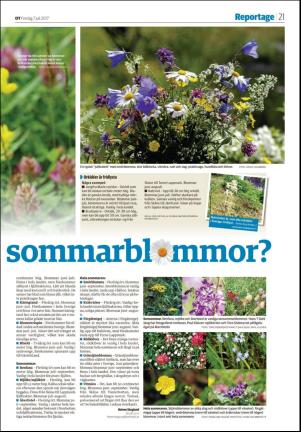 falukuriren_seksjon-20170707_000_00_00_021.pdf