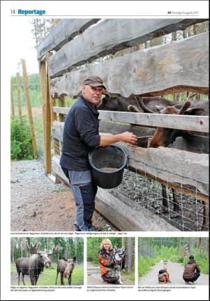 falukuriren_seksjon-20170831_000_00_00_014.pdf