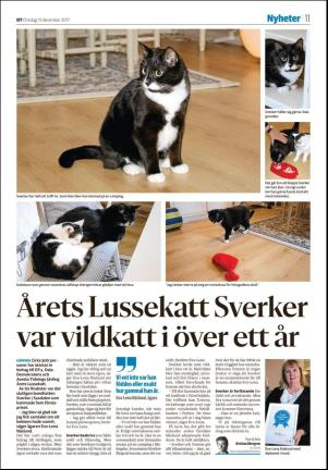 falukuriren_seksjon-20171213_000_00_00_011.pdf