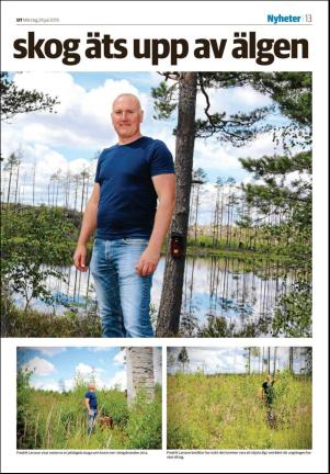falukuriren_seksjon-20190729_000_00_00_013.pdf