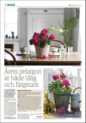 falukuriren_seksjon-20200330_000_00_00_014.pdf