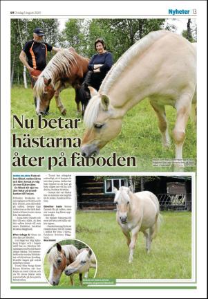 falukuriren_seksjon-20200805_000_00_00_013.pdf
