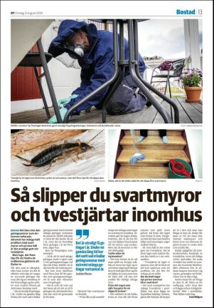 falukuriren_seksjon-20200812_000_00_00_013.pdf