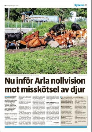 falukuriren_seksjon-20200829_000_00_00_013.pdf