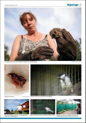 falukuriren_seksjon-20200907_000_00_00_013.pdf