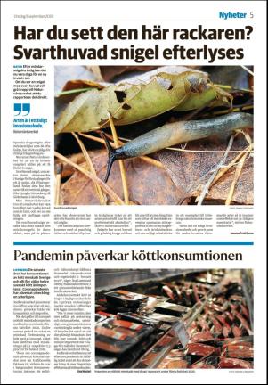 falukuriren_seksjon-20200909_000_00_00_005.pdf