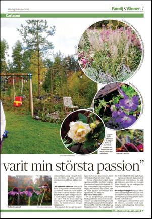 falukuriren_seksjon-20201019_000_00_00_007.pdf