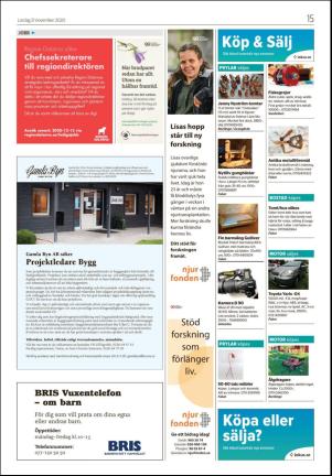 falukuriren_seksjon-20201121_000_00_00_015.pdf