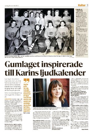 falukuriren_seksjon-20201128_000_00_00_011.pdf