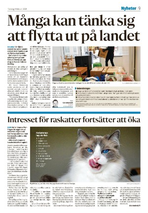 falukuriren_seksjon-20210204_000_00_00_009.pdf