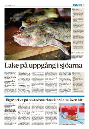 falukuriren_seksjon-20210218_000_00_00_009.pdf