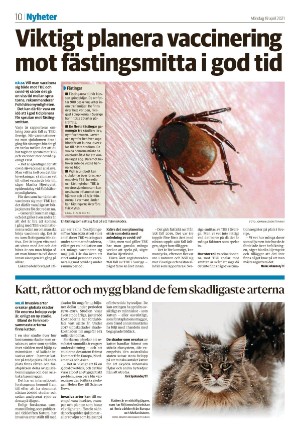 falukuriren_seksjon-20210419_000_00_00_010.pdf