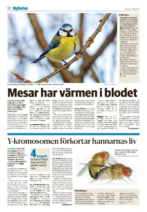 falukuriren_seksjon-20210427_000_00_00_010.pdf
