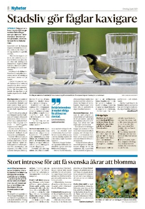 falukuriren_seksjon-20210602_000_00_00_008.pdf