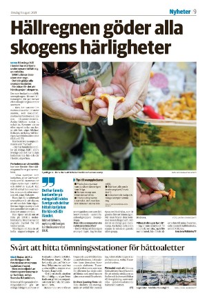 falukuriren_seksjon-20210811_000_00_00_009.pdf