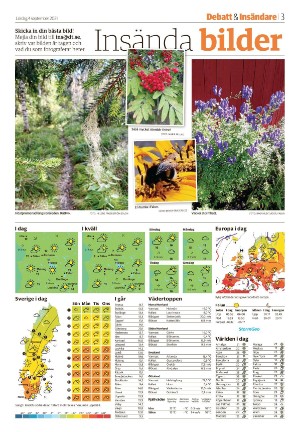 falukuriren_seksjon-20210904_000_00_00_003.pdf