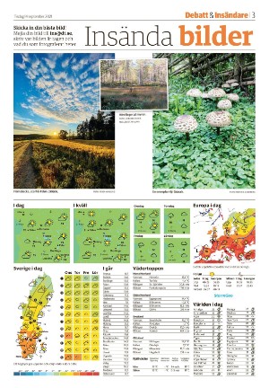 falukuriren_seksjon-20210914_000_00_00_003.pdf